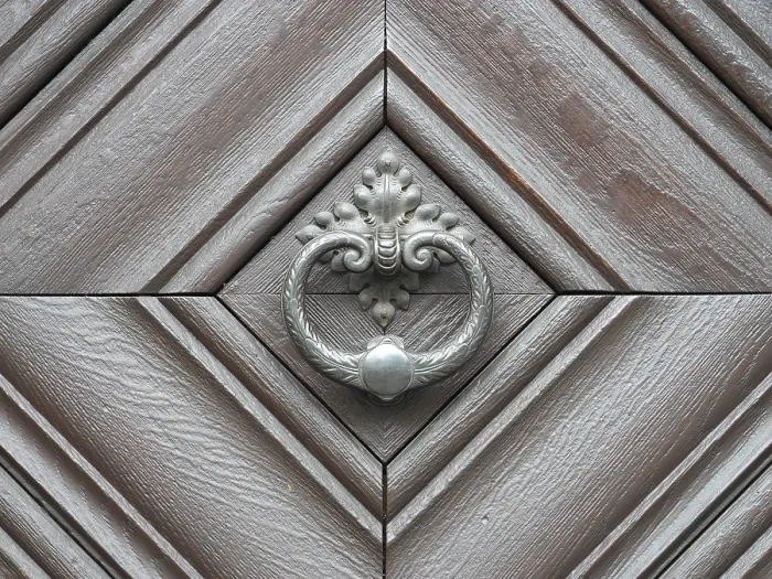 Stampa con cornice : Anello del campanello. Stampa con cornice : Anello del campanello.