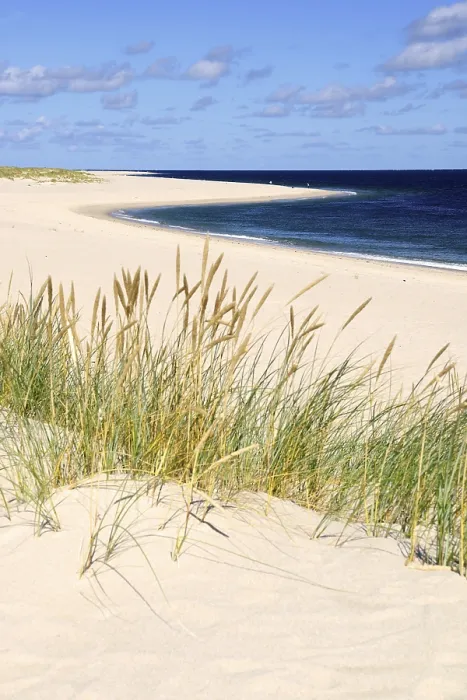 Stampa con cornice : Paesaggio di dune, Ellenbogen, List.