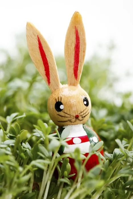 Stampa con cornice : Coniglio di Pasqua. Stampa con cornice : Coniglio di Pasqua.