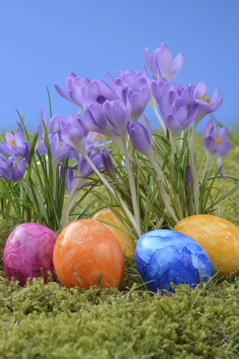 Stampa con cornice : Uova di Pasqua e croco.