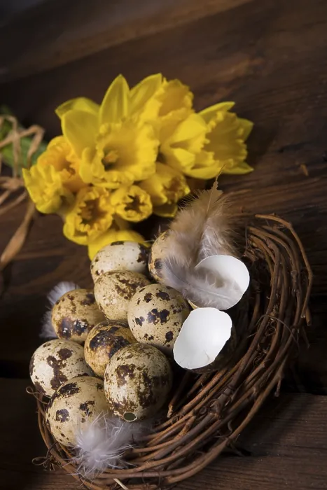Stampa con cornice : Uova di Pasqua e tarassaco. Stampa con cornice : Uova di Pasqua e tarassaco.