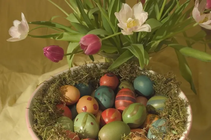 Stampa con cornice : Nido di Pasqua Stampa con cornice : Nido di Pasqua