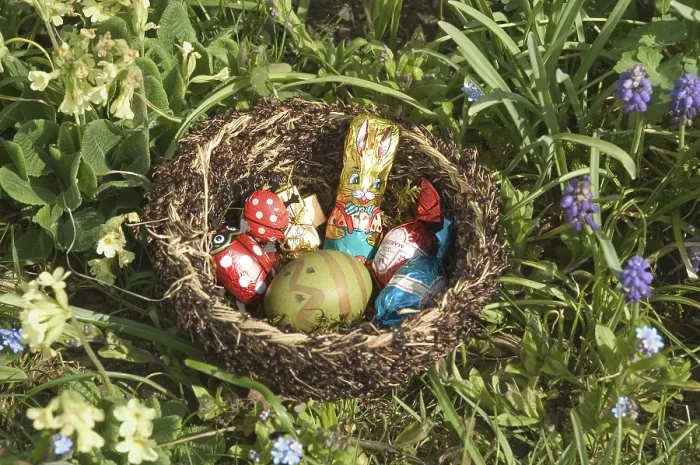 Stampa con cornice : Nido di Pasqua Stampa con cornice : Nido di Pasqua