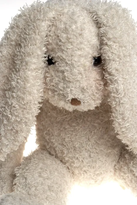 Stampa con cornice : Coniglio di Pasqua