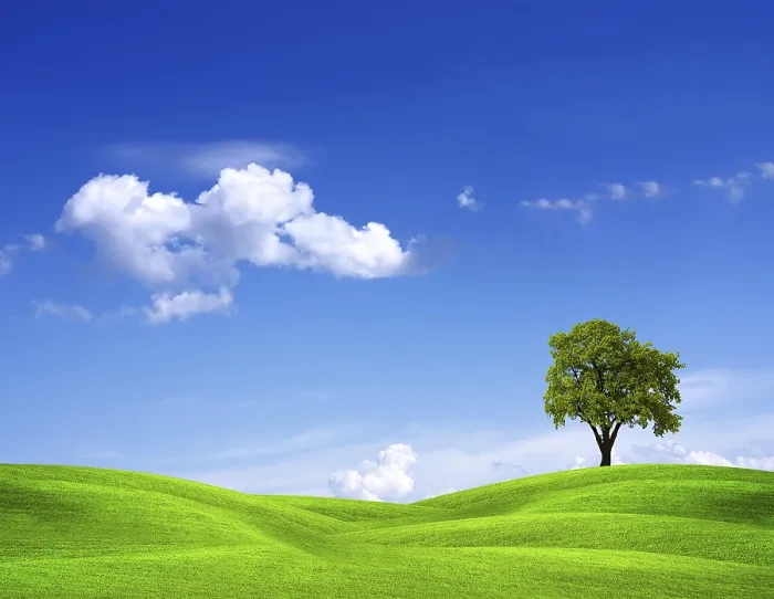 Stampa con cornice : EcoGreen Stampa con cornice : EcoGreen
