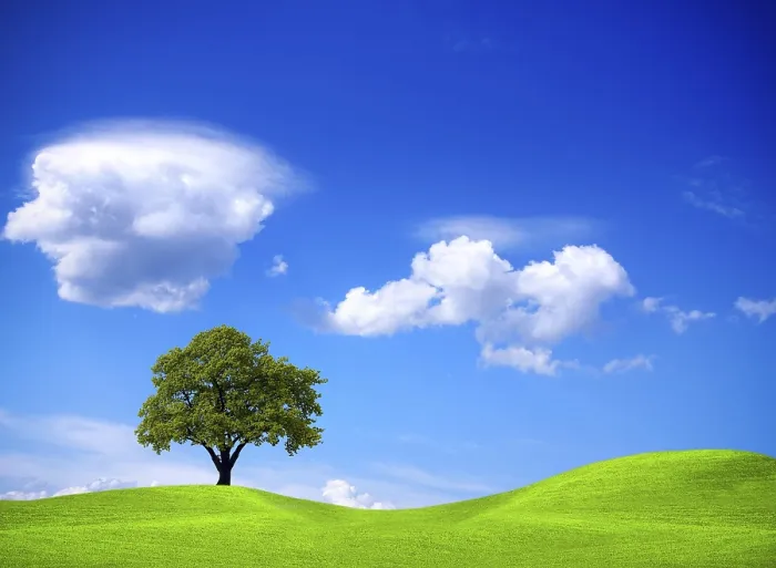 Stampa con cornice : Ecologia e Ambiente