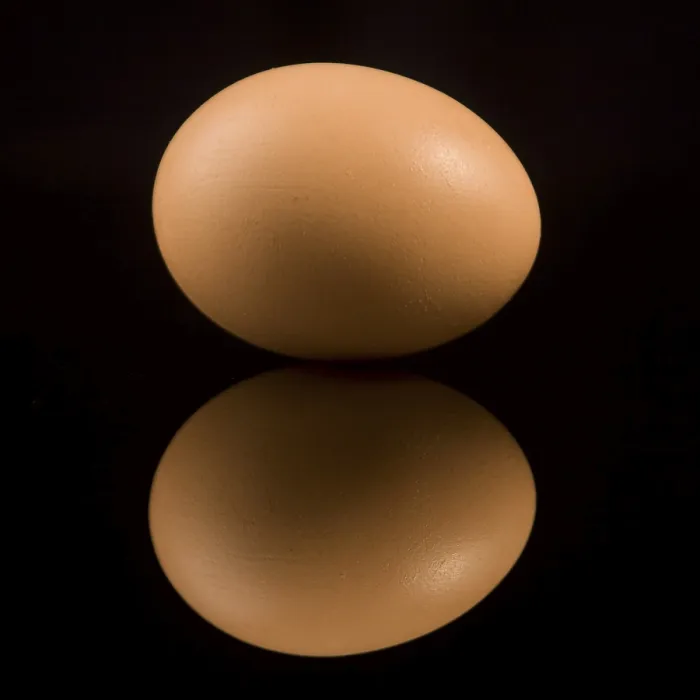 Stampa con cornice : Egg Stampa con cornice : Egg