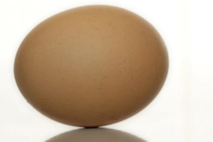 Stampa con cornice : Egg