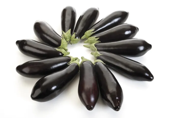 Stampa con cornice : Eggplants Stampa con cornice : Eggplants