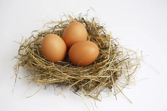 Stampa con cornice : Tre uova in un nido: Pasqua