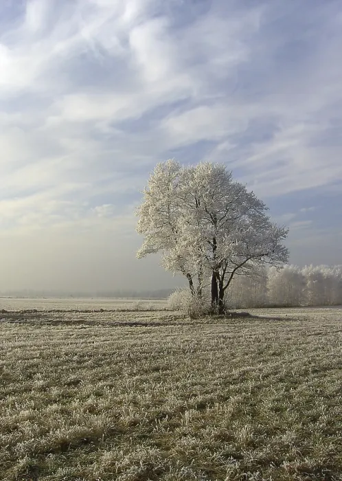 Stampa con cornice : Field Stampa con cornice : Field