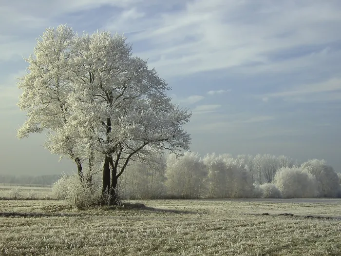 Stampa con cornice : Field Stampa con cornice : Field
