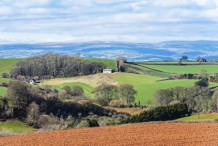 Stampa con cornice : Campi e terre coltivate sopra il Devon.