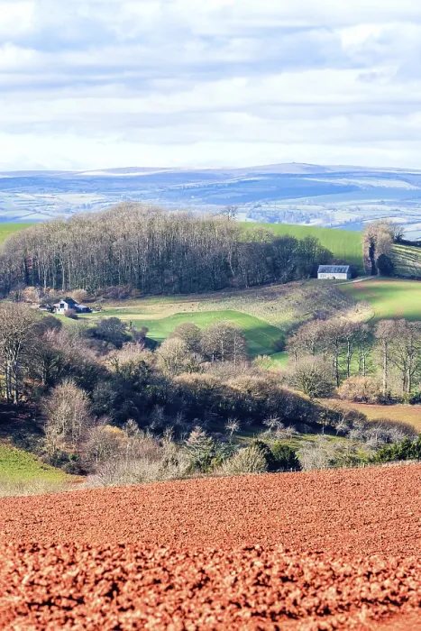 Stampa con cornice : Campi e terre coltivate nel Devon. Stampa con cornice : Campi e terre coltivate nel Devon.
