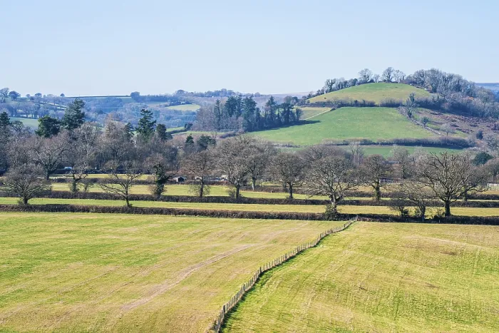 Stampa con cornice : Campi e Aree Agricole nel Devon. Stampa con cornice : Campi e Aree Agricole nel Devon.
