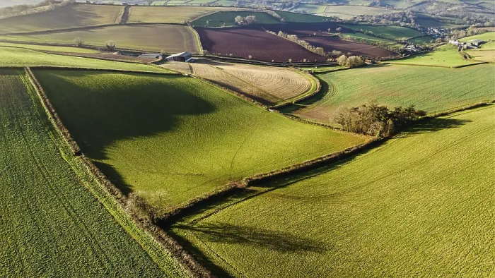 Stampa con cornice : Campi e fattorie da un drone, Devon. Stampa con cornice : Campi e fattorie da un drone, Devon.