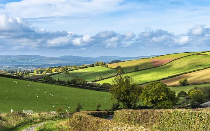 Stampa con cornice : Campi e fattorie da un drone, Devon.