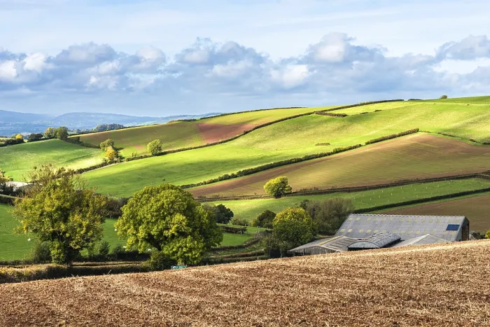 Stampa con cornice : Campi e fattorie da un drone, Devon.