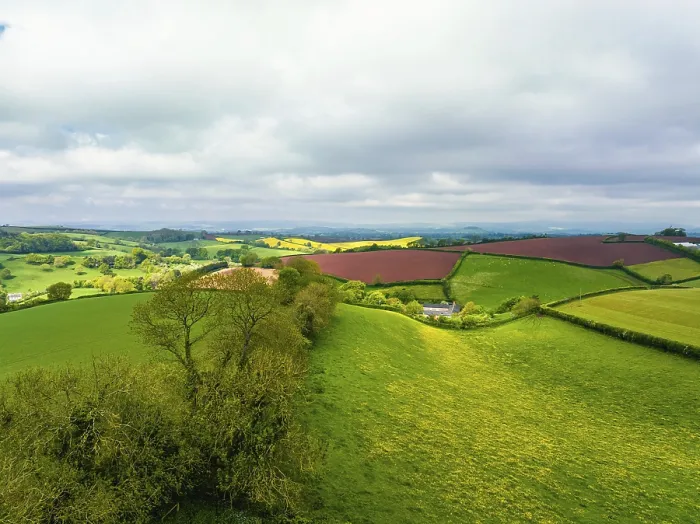 Stampa con cornice : Campi e fattorie da un drone, Devon. Stampa con cornice : Campi e fattorie da un drone, Devon.