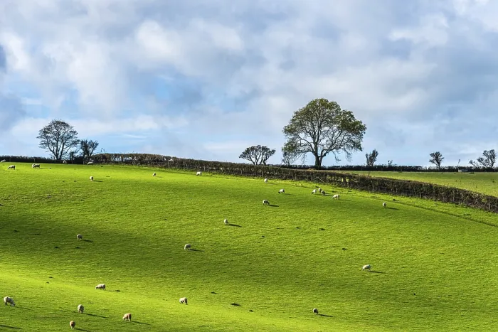 Stampa con cornice : Campi e fattorie da un drone, Devon. Stampa con cornice : Campi e fattorie da un drone, Devon.
