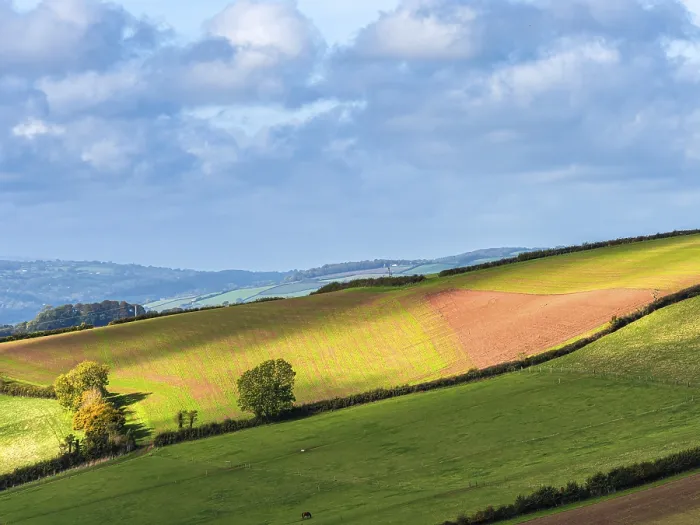 Stampa con cornice : Campi e fattorie da un drone, Devon.