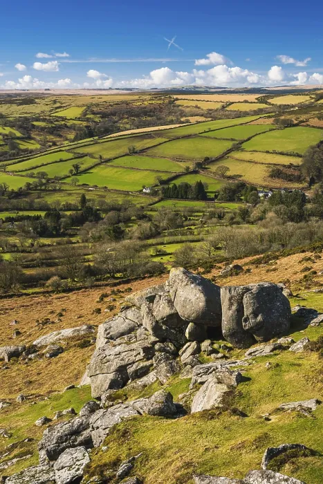 Stampa con cornice : Campi e prati a Haytor Rocks Stampa con cornice : Campi e prati a Haytor Rocks