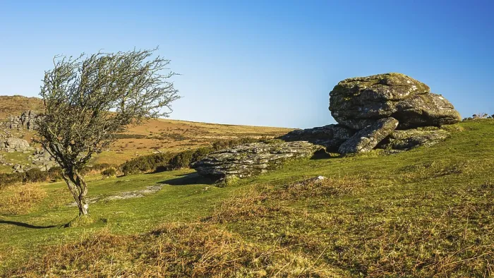 Stampa con cornice : Campi e prati a Haytor Rocks Stampa con cornice : Campi e prati a Haytor Rocks