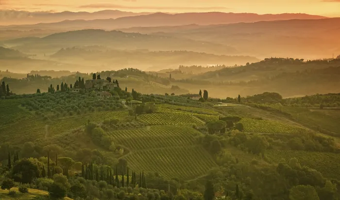 Stampa con cornice : Campi in Toscana Stampa con cornice : Campi in Toscana