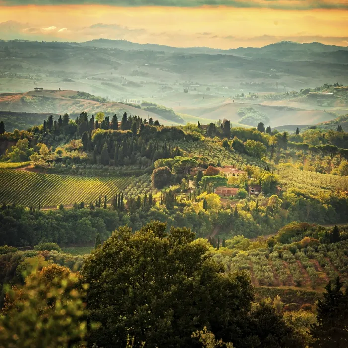 Stampa con cornice : Campi in Toscana. Stampa con cornice : Campi in Toscana.