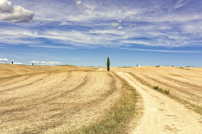 Stampa con cornice : Campi in Toscana Stampa con cornice : Campi in Toscana