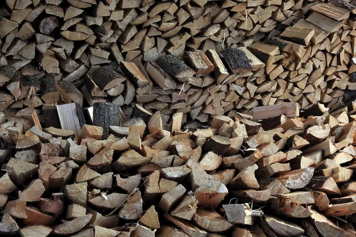 Stampa con cornice : Legna da fuoco, tronchi, aste.