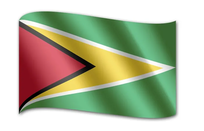 Stampa con cornice : Bandiera della Guyana