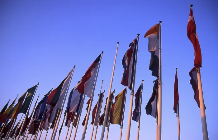 Stampa con cornice : Flags Stampa con cornice : Flags