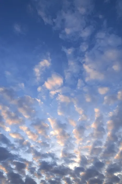 Stampa con cornice : Altocumuli soffici Stampa con cornice : Altocumuli soffici