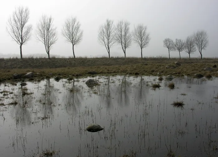 Stampa con cornice : Nella nebbia.