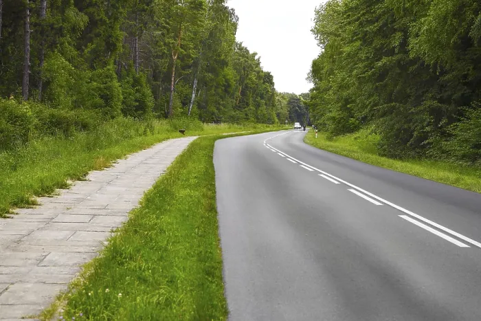 Stampa con cornice : La strada del bosco. Stampa con cornice : La strada del bosco.