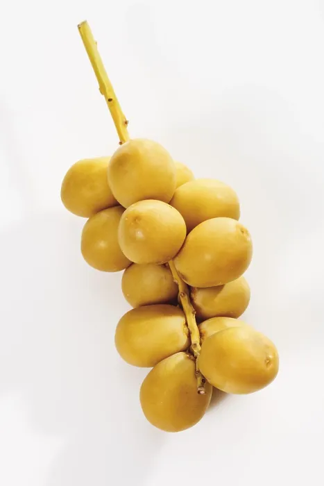 Stampa con cornice : Date fresche.