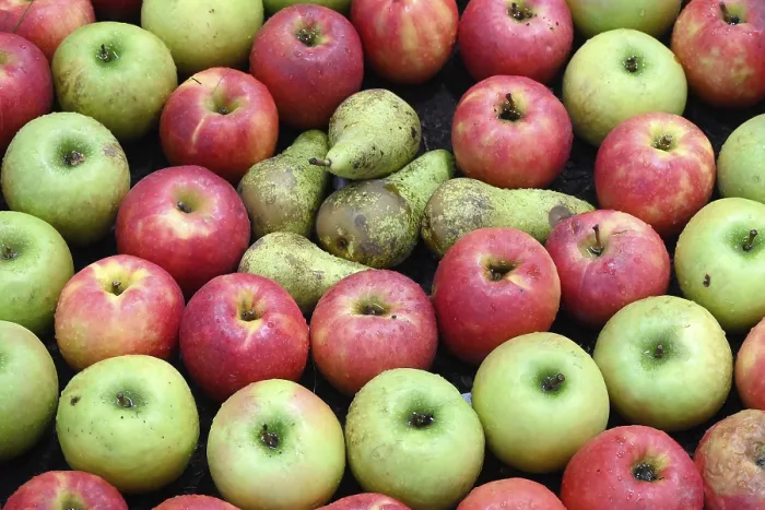 Stampa con cornice : Frutta Mele Pere