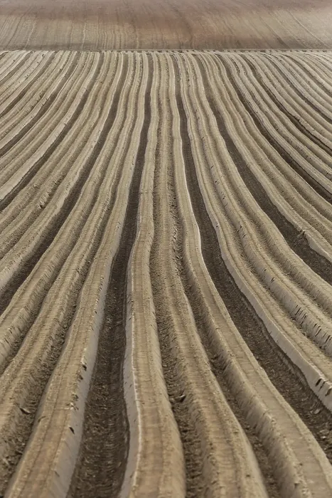 Stampa con cornice : Furrows