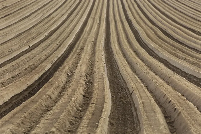 Stampa con cornice : Furrows Stampa con cornice : Furrows