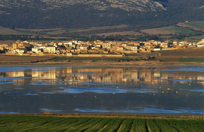 Stampa con cornice : Gallocanta, Laguna di Gallocanta Stampa con cornice : Gallocanta, Laguna di Gallocanta