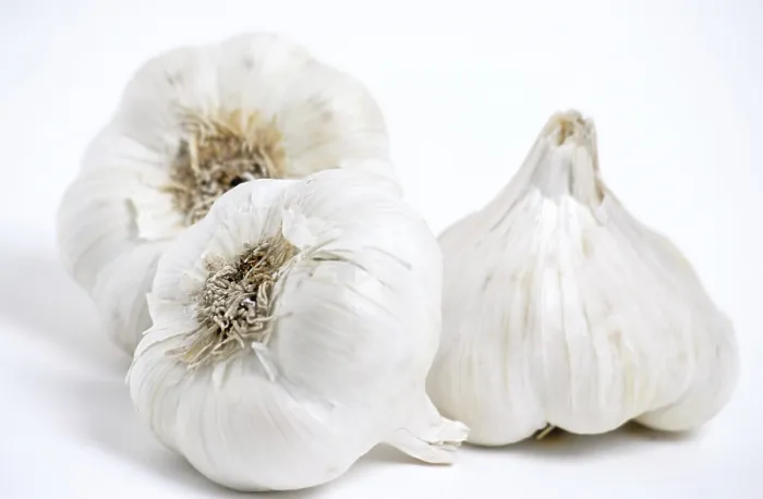 Stampa con cornice : Garlic Stampa con cornice : Garlic