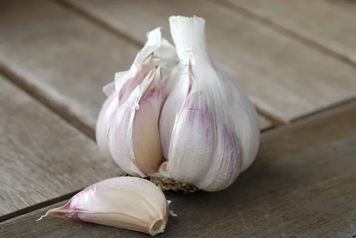 Stampa con cornice : Garlic Stampa con cornice : Garlic