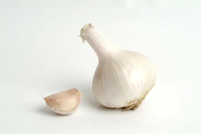 Stampa con cornice : Garlic Stampa con cornice : Garlic