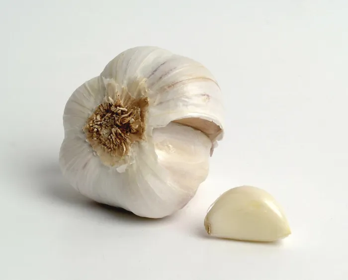 Stampa con cornice : Garlic