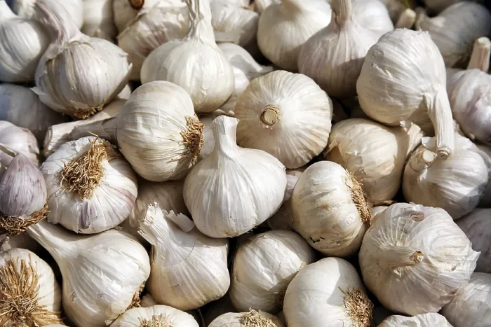 Stampa con cornice : Garlic Stampa con cornice : Garlic