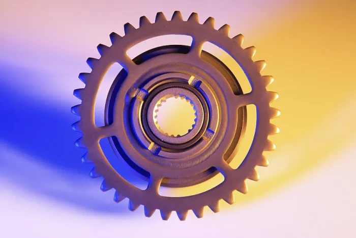 Stampa con cornice : Gear