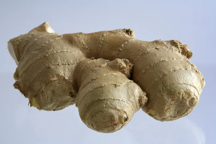 Stampa con cornice : Ginger Stampa con cornice : Ginger