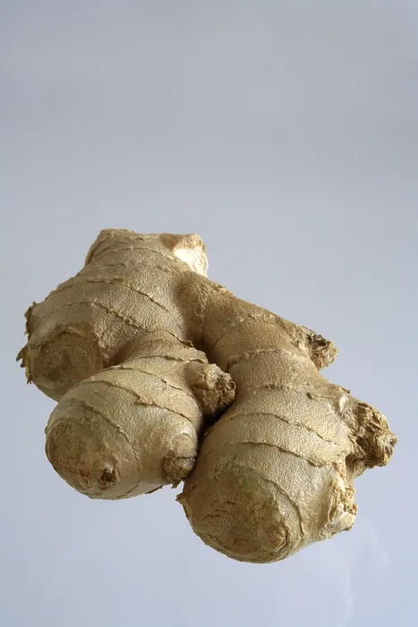 Stampa con cornice : Ginger Stampa con cornice : Ginger