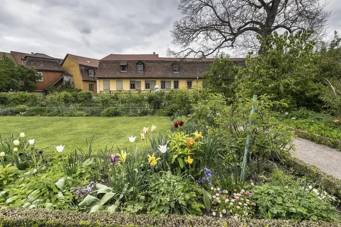 Stampa con cornice : Il giardino di Goethe, Weimar, Turingia.